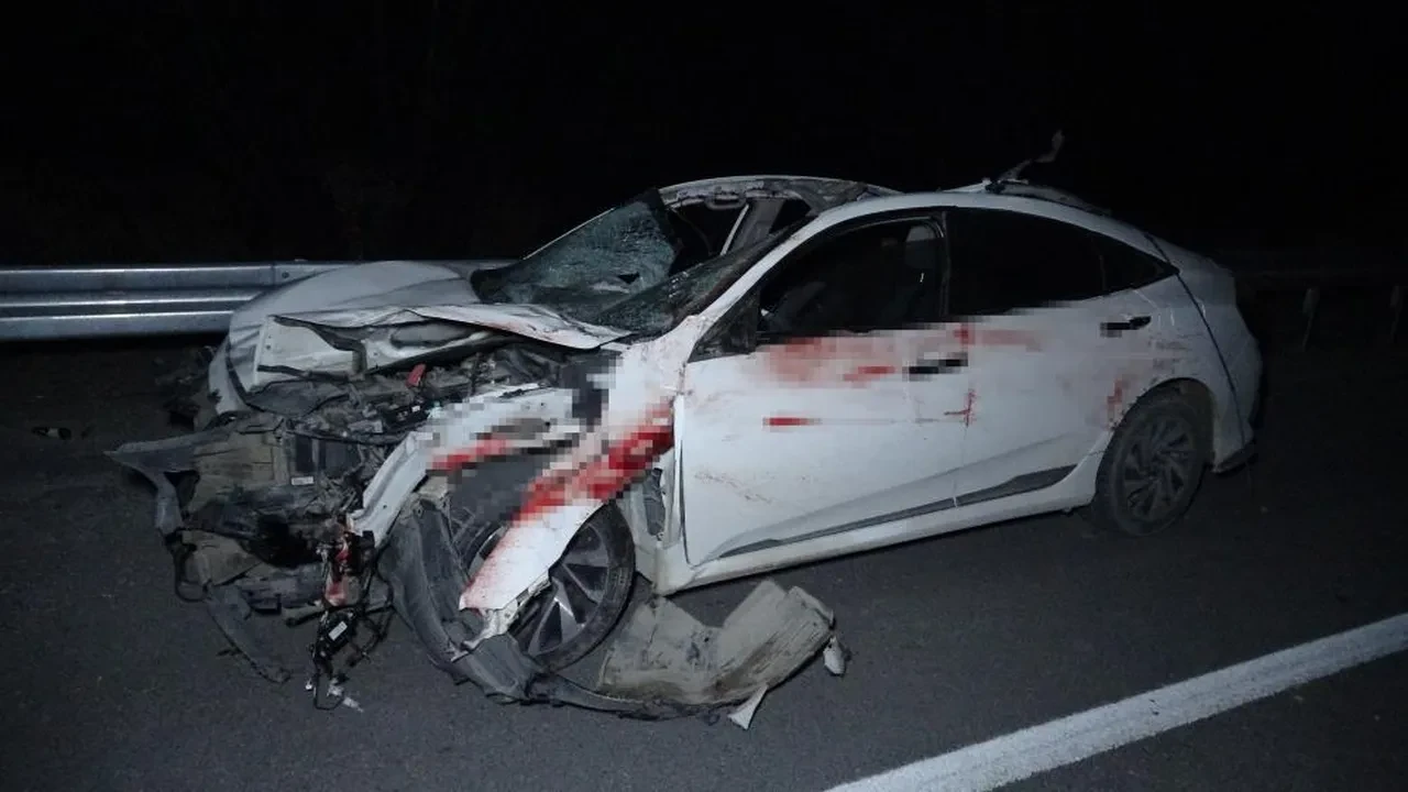 Karayolunda milyonluk yarış tayları telef oldu!