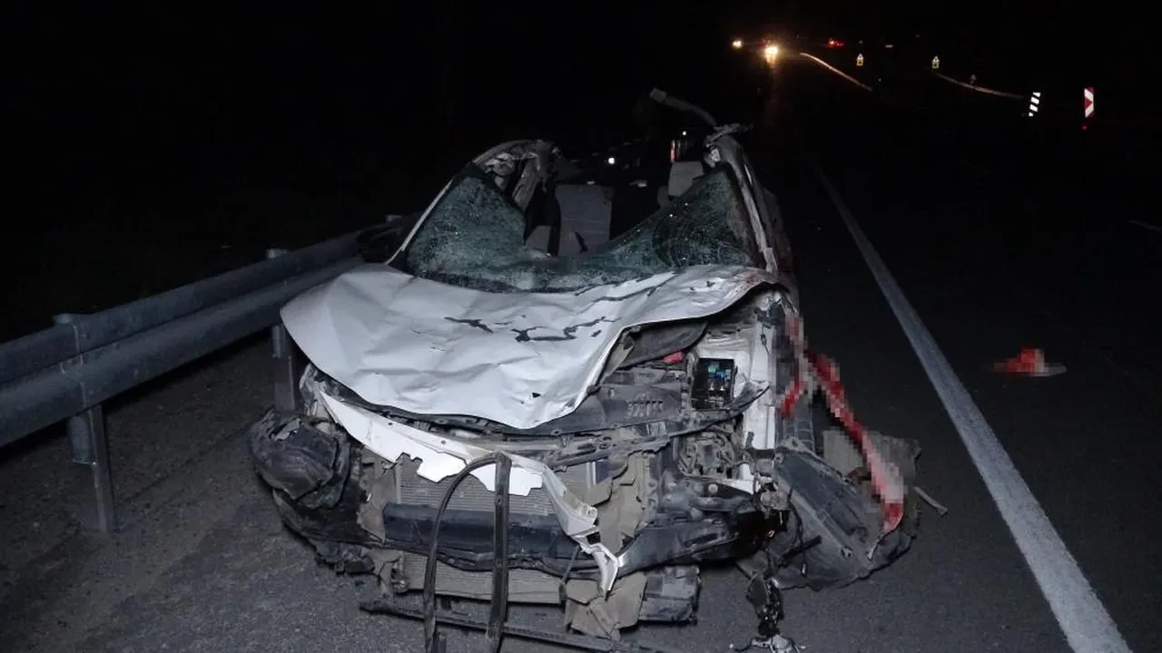 Karayolunda milyonluk yarış tayları telef oldu!