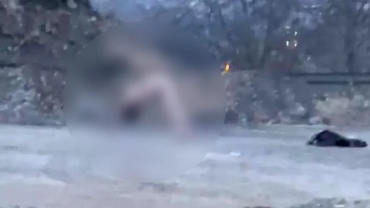 Köprü altında akıllara durgunluk veren görüntü! 