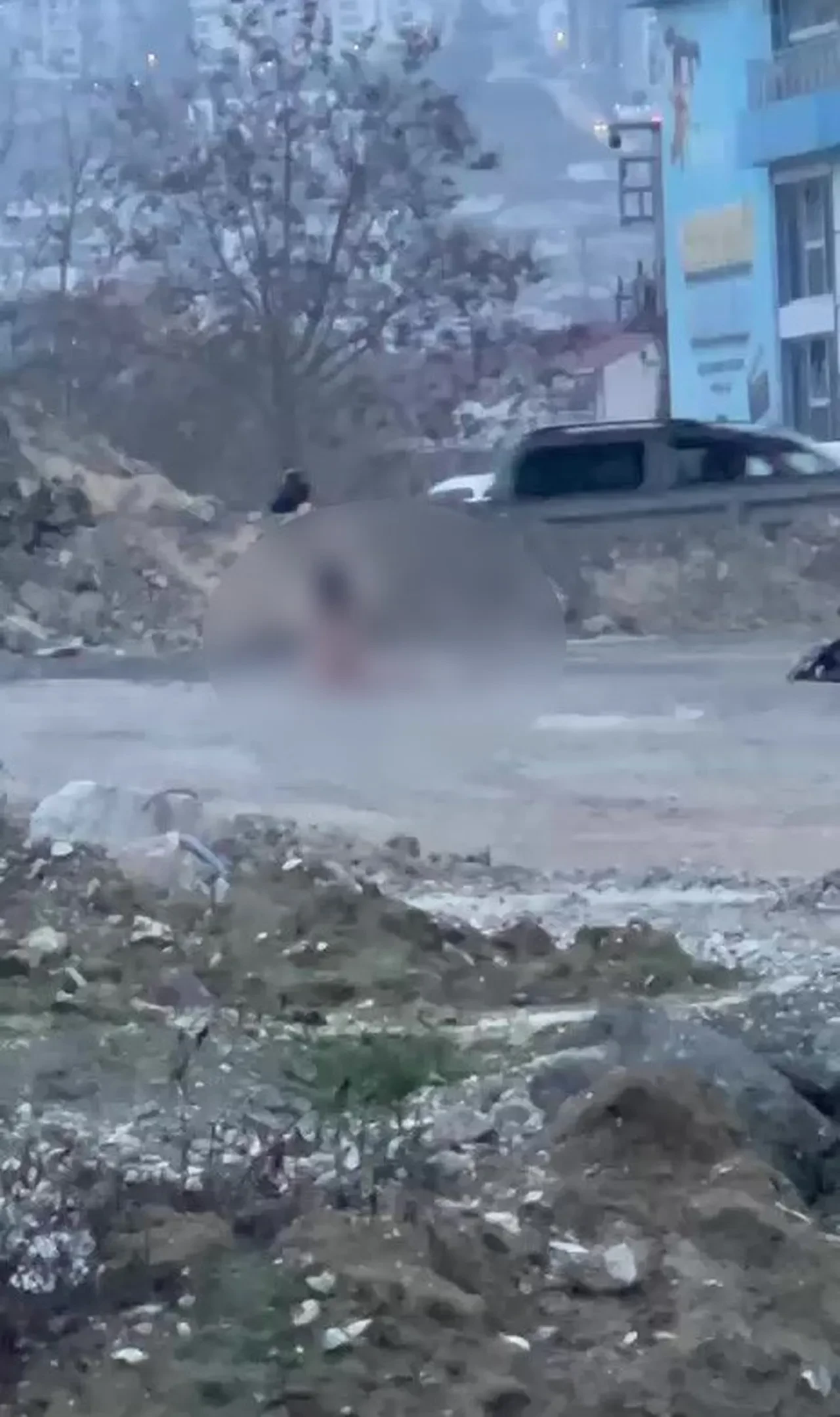 Köprü altında akıllara durgunluk veren görüntü! 