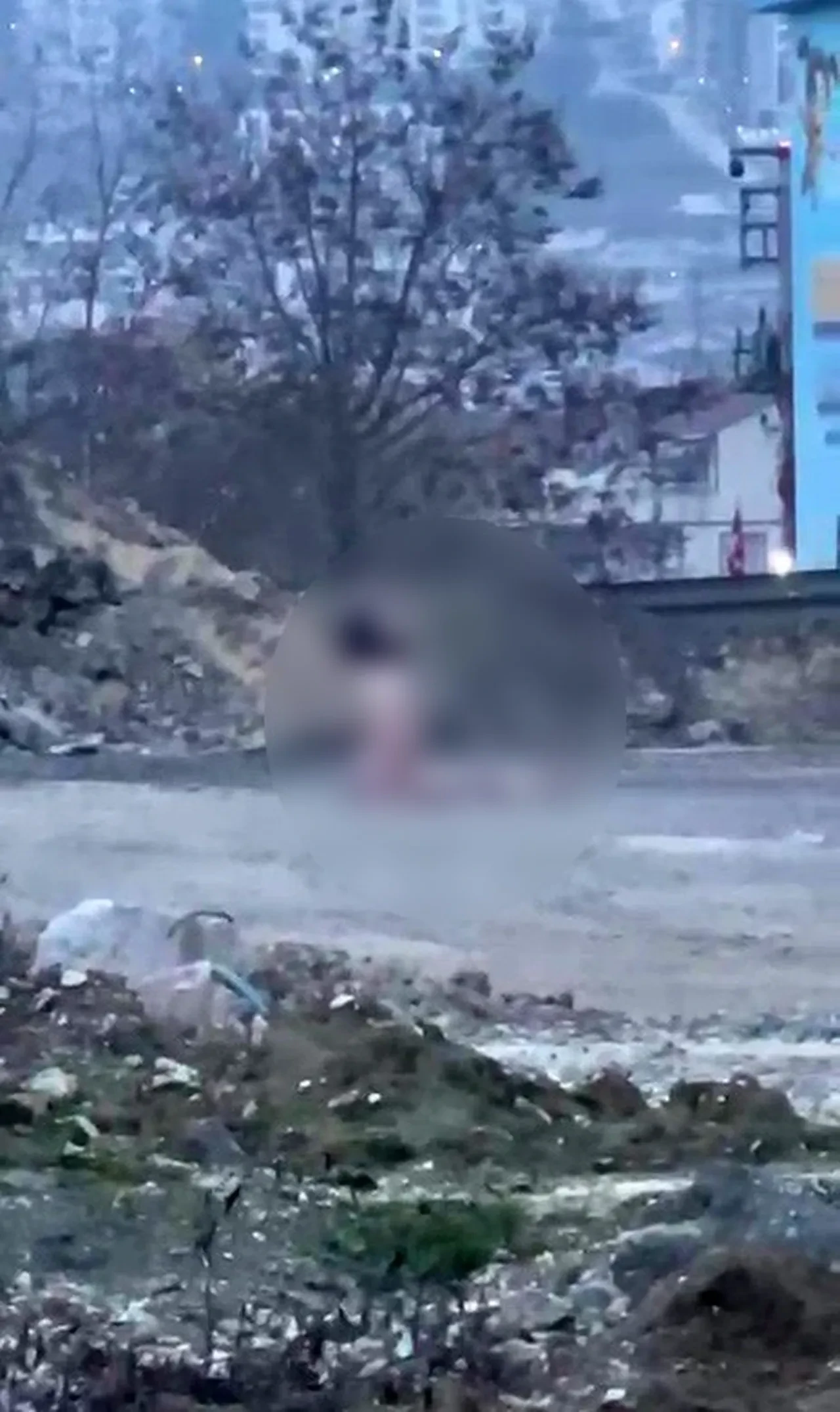 Köprü altında akıllara durgunluk veren görüntü! 