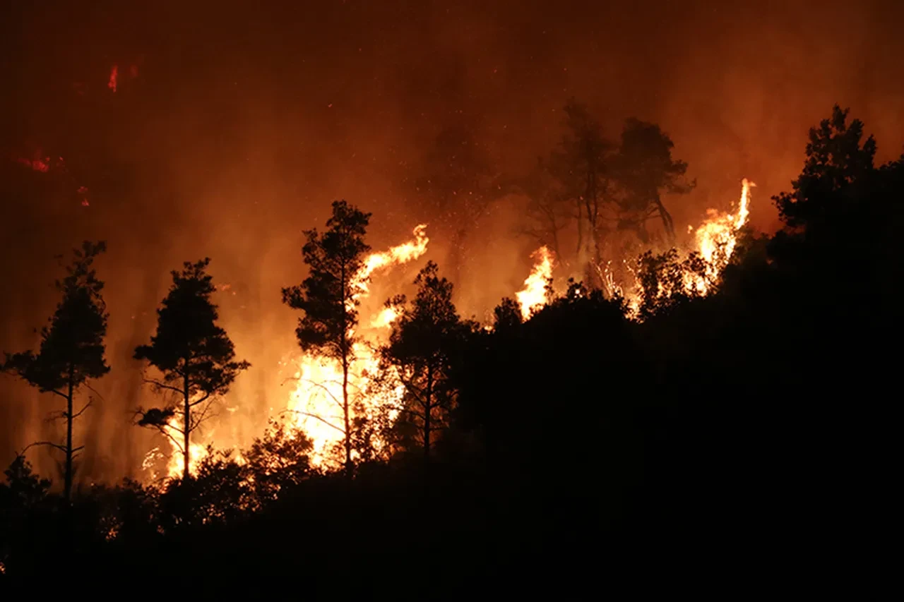 Orman yangınları