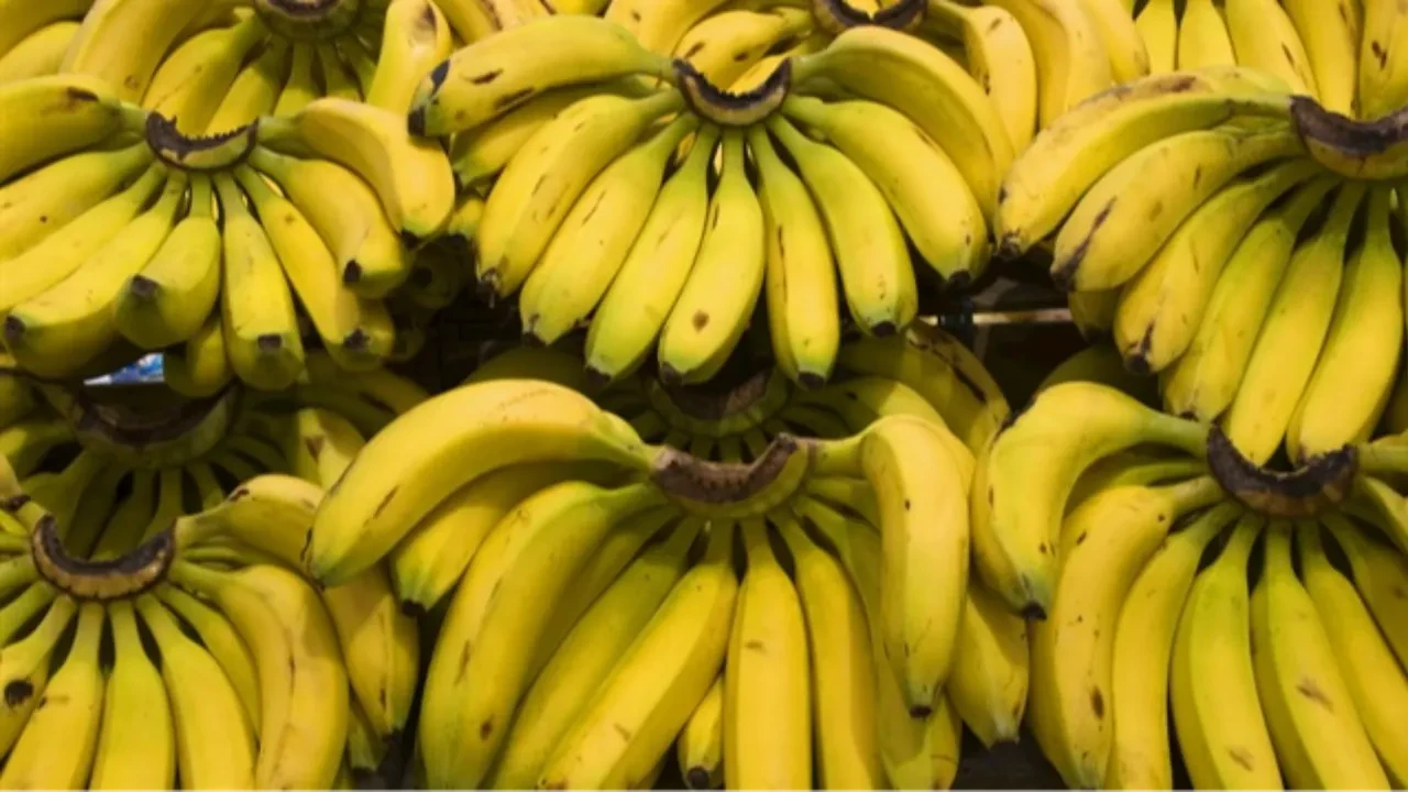 KİMLER DİKKATLİ OLMALI?