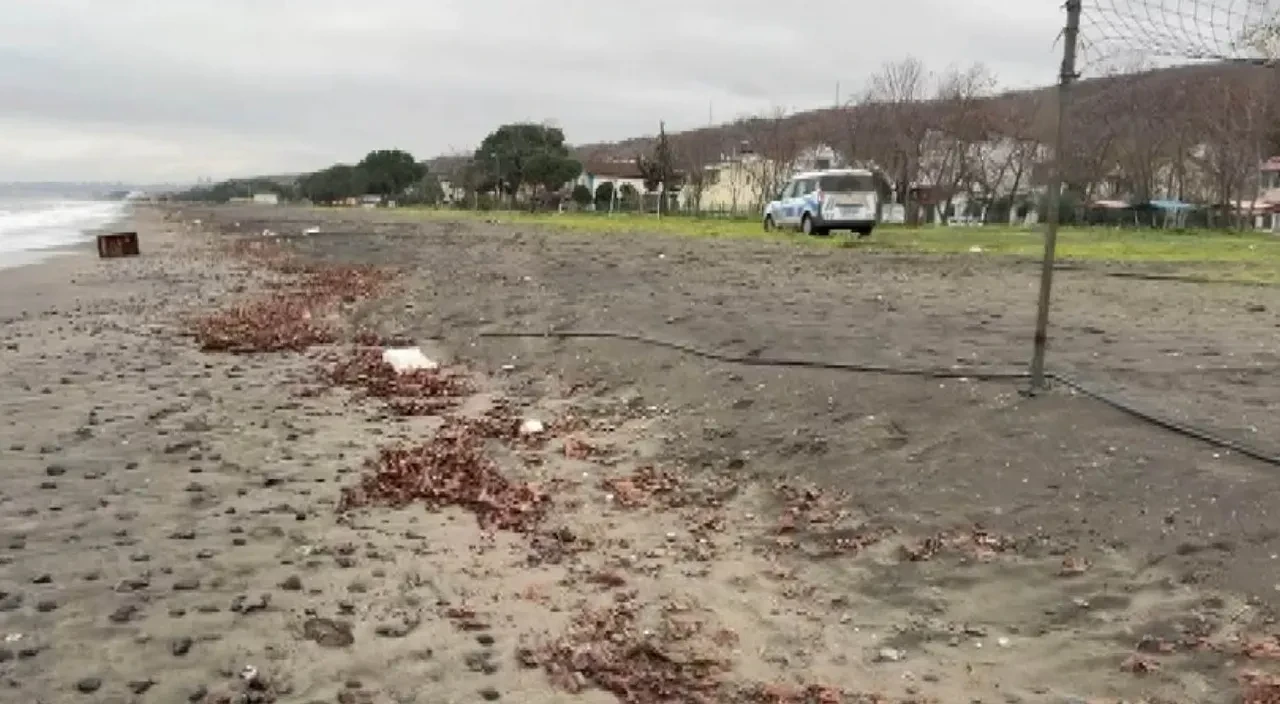 Samsun'da esrarengiz olay! Sahilde bulundu, üzerinde Rusça yazılar var