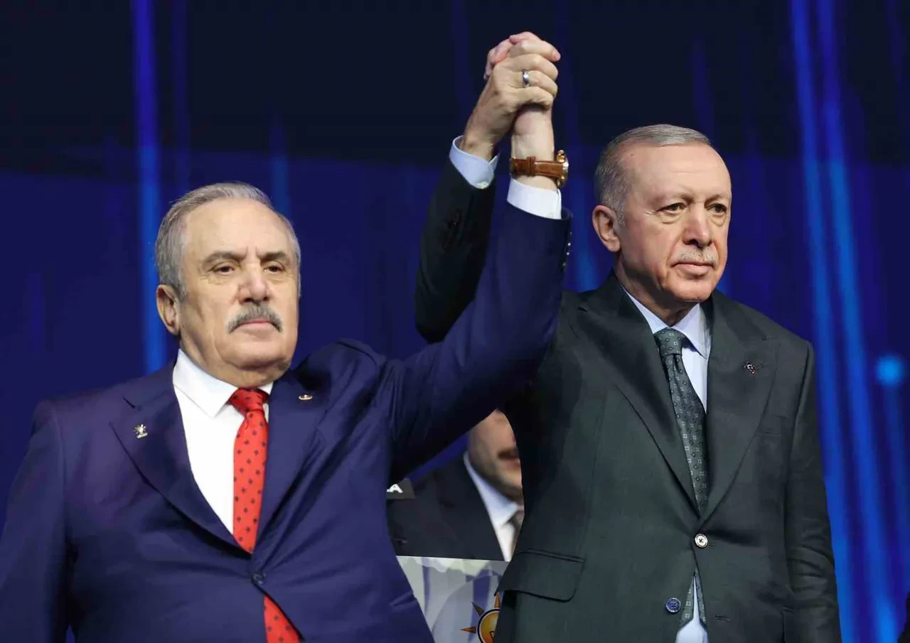AK Partili Mehmet Selim Ensarioğlu: Devlet Bahçeli ile yasaklı maddeleri konuştuk, çok büyük tehlike gördüm