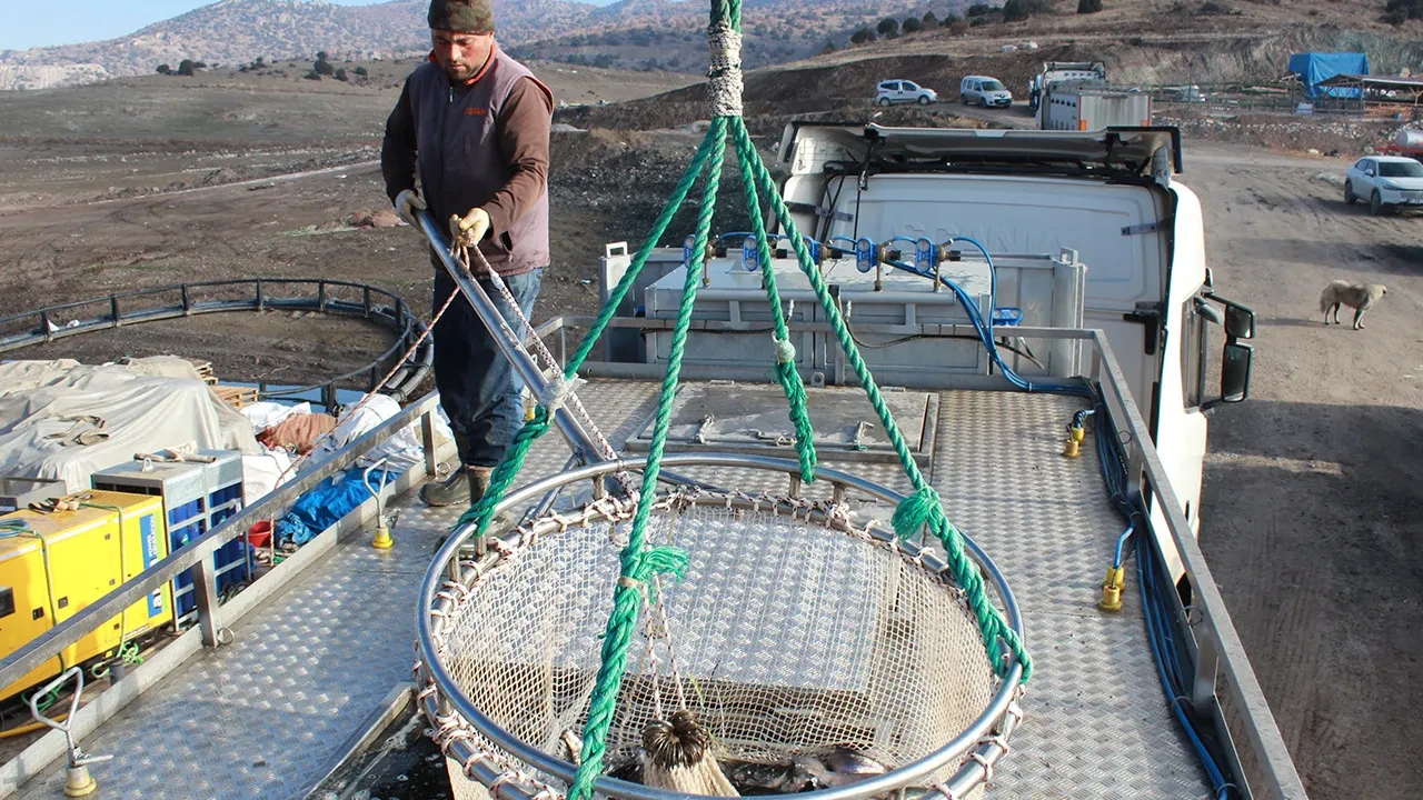 Denizi olmayan şehrimizde üretilip gelir elde ediliyor! Rusya ve Japonya'ya bile gönderildi