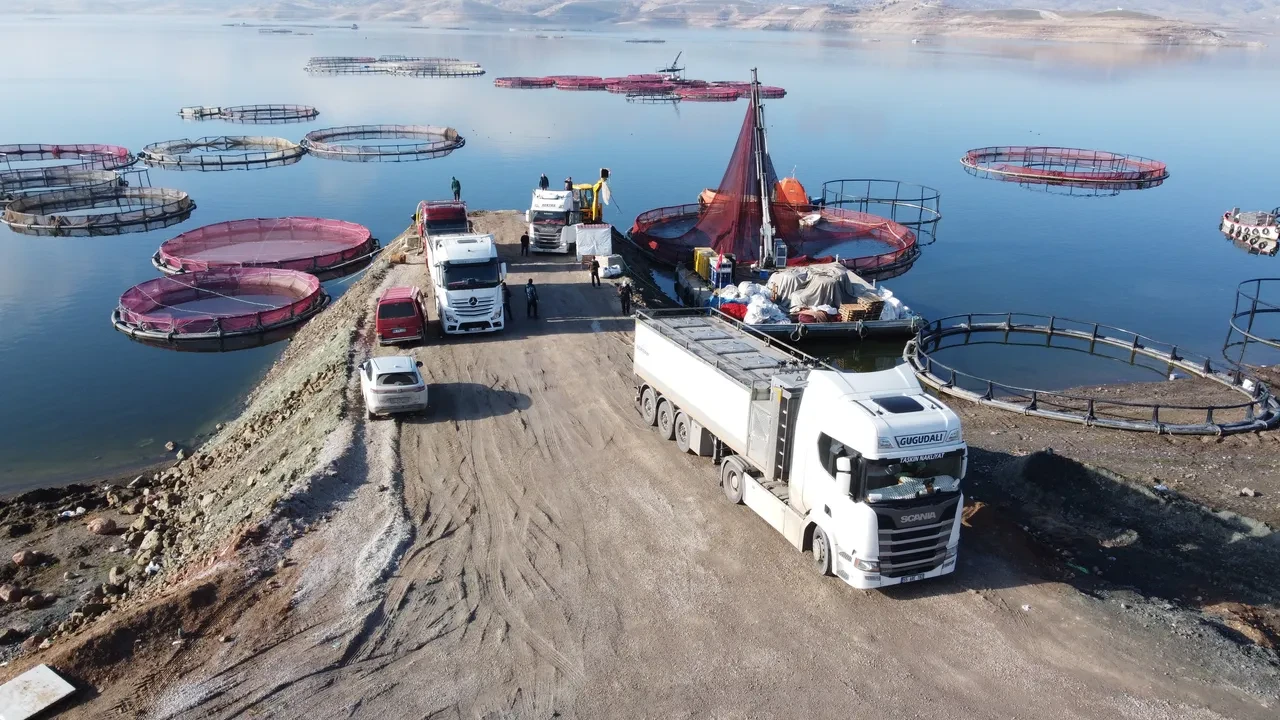 Denizi olmayan şehrimizde üretilip gelir elde ediliyor! Rusya ve Japonya'ya bile gönderildi