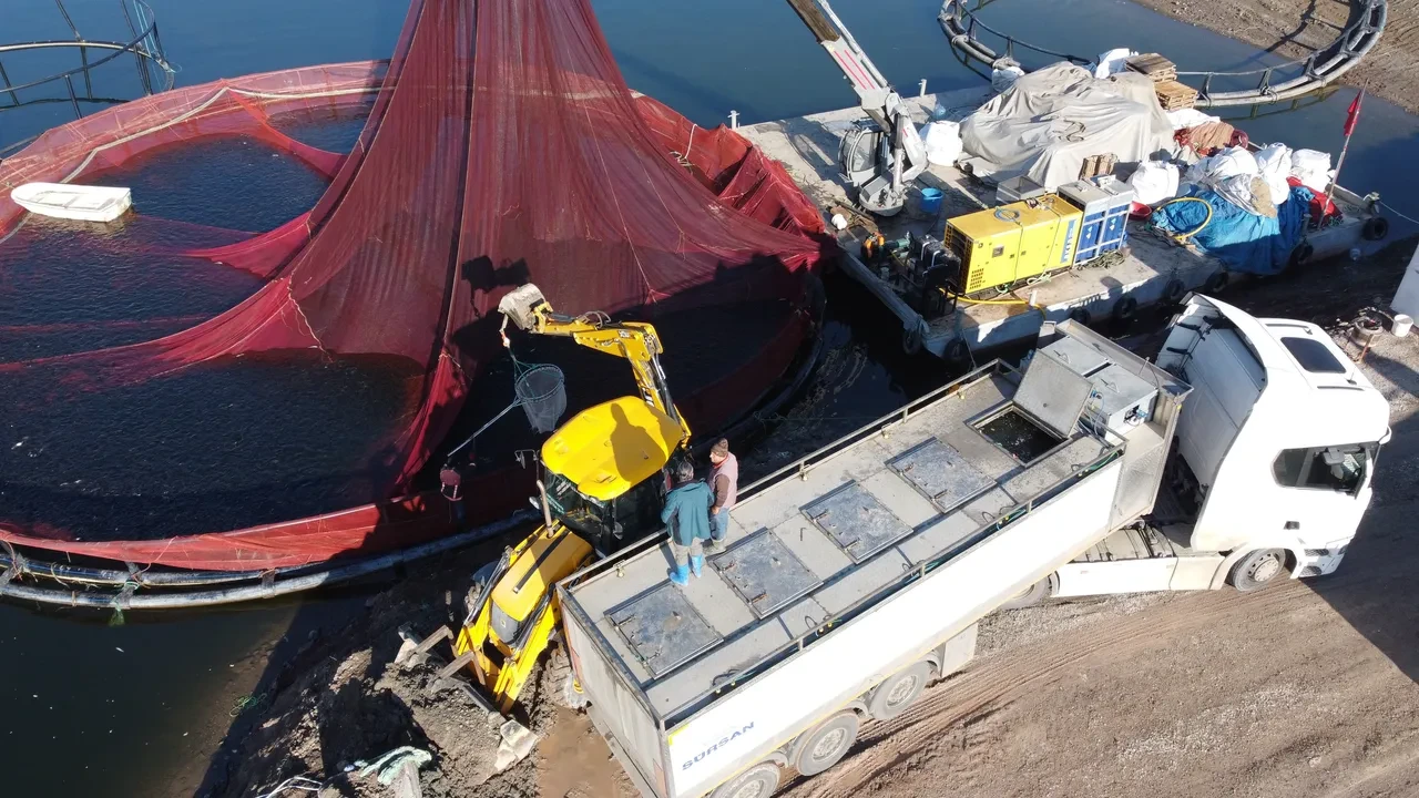 Denizi olmayan şehrimizde üretilip gelir elde ediliyor! Rusya ve Japonya'ya bile gönderildi