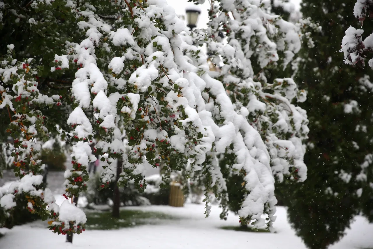 Meteoroloji 38 kent için alarm verdi! Kar yağışı ve dondurucu soğuk geliyor: İzlanda ve Rusya soğukları Türkiye'yi esir alacak
