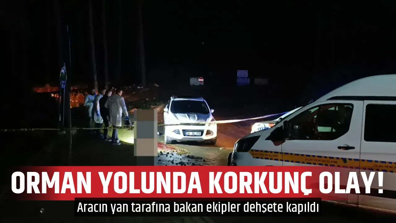 ORMAN YOLUNDA KORKUNÇ OLAY!