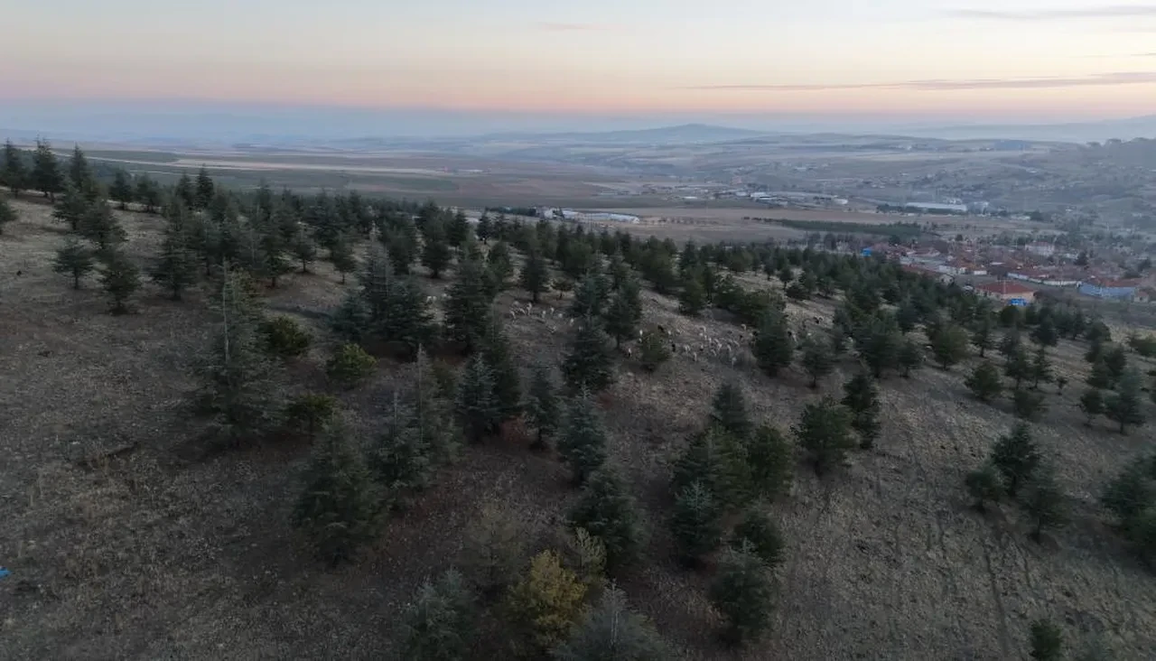 1 milyon 220 bin metrekarelik arazi imara açıldı iddiası! Yetkililer harekete geçti, incelemeye başlatıldı