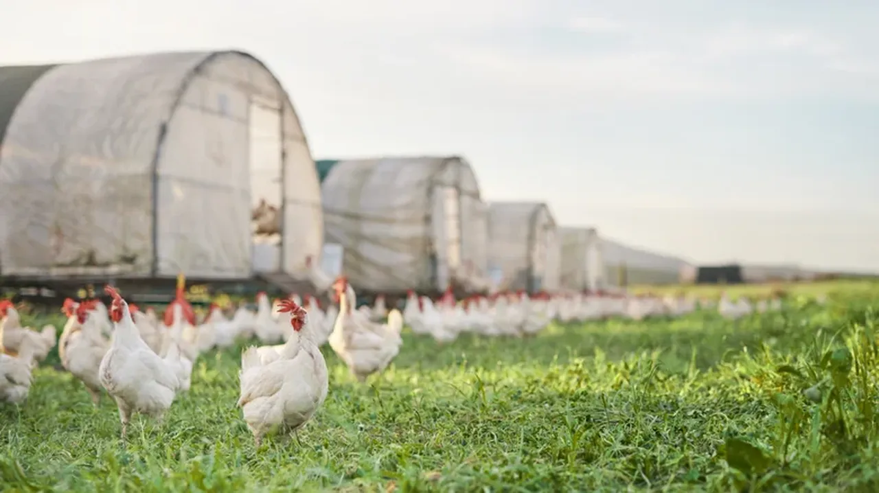 Benzine para yetiştiremeyenlere müjde: Gelecekte arabalara yakıt olmaya aday 5 sıra dışı madde belli oldu