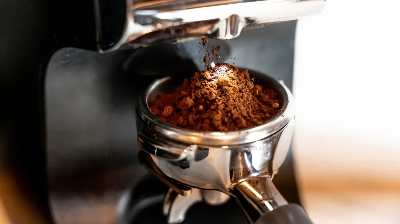 Benzine para yetiştiremeyenlere müjde: Gelecekte arabalara yakıt olmaya aday 5 sıra dışı madde belli oldu