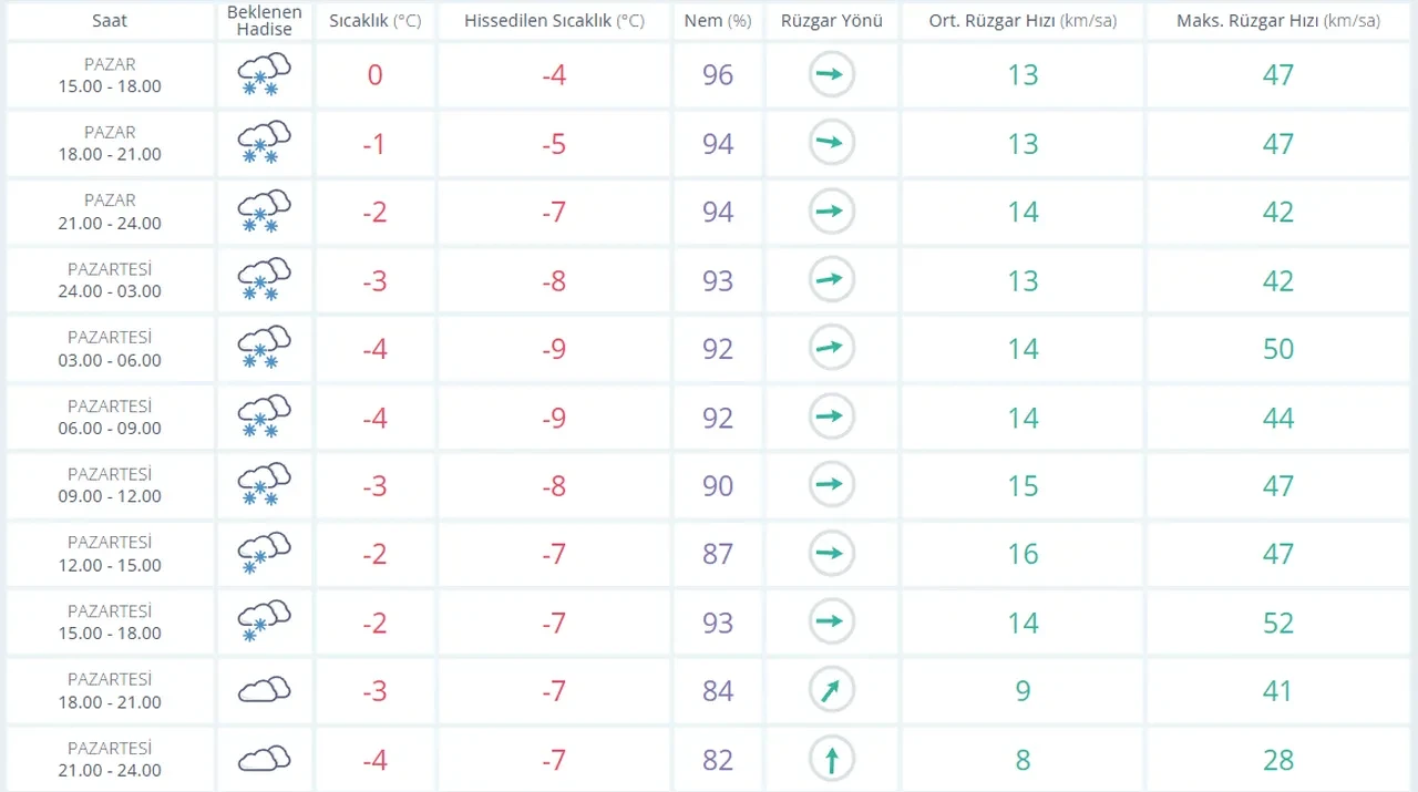 Bolu, Bursa, Karabük yarın okullar tatil mi? 29 Aralık kar yağışı durumu