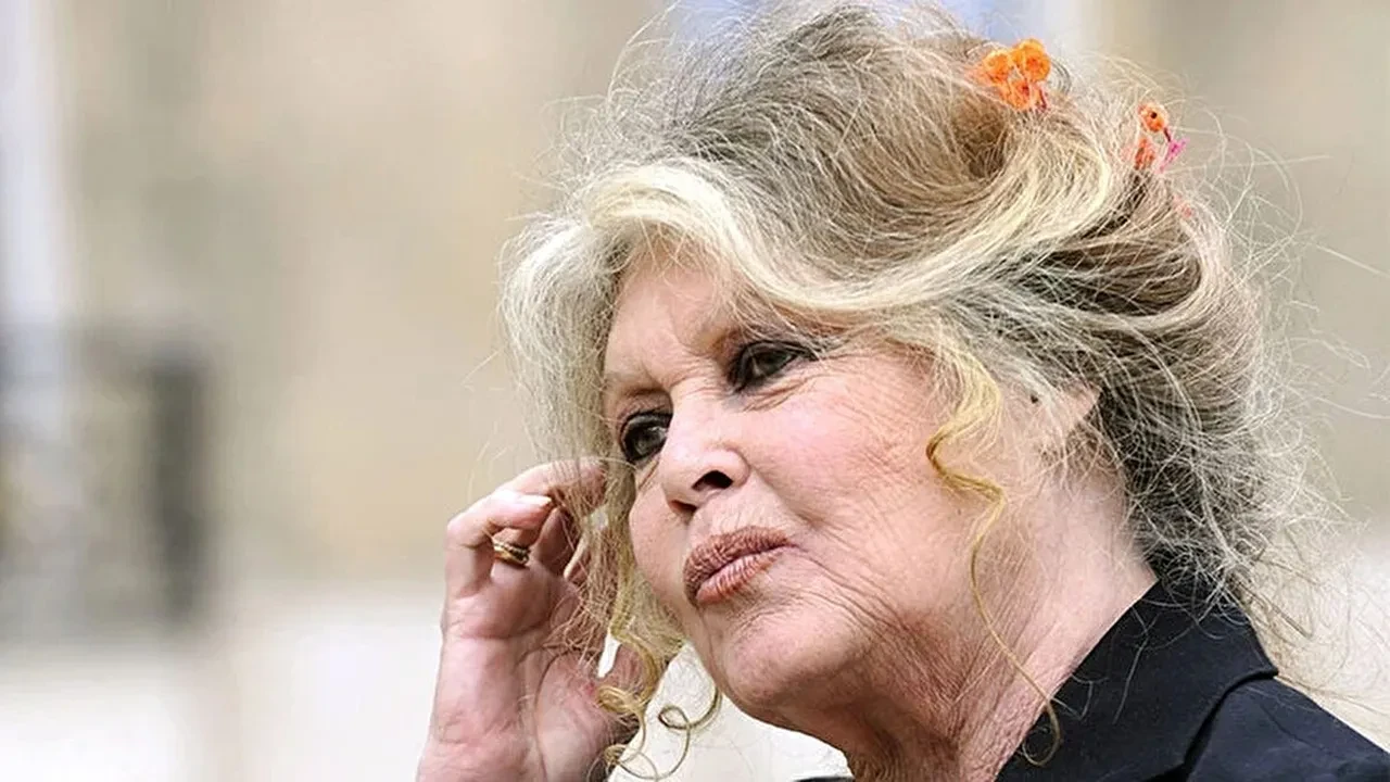 Brigitte Bardot kimdir neden öldü? Brigitte Bardot filmleri