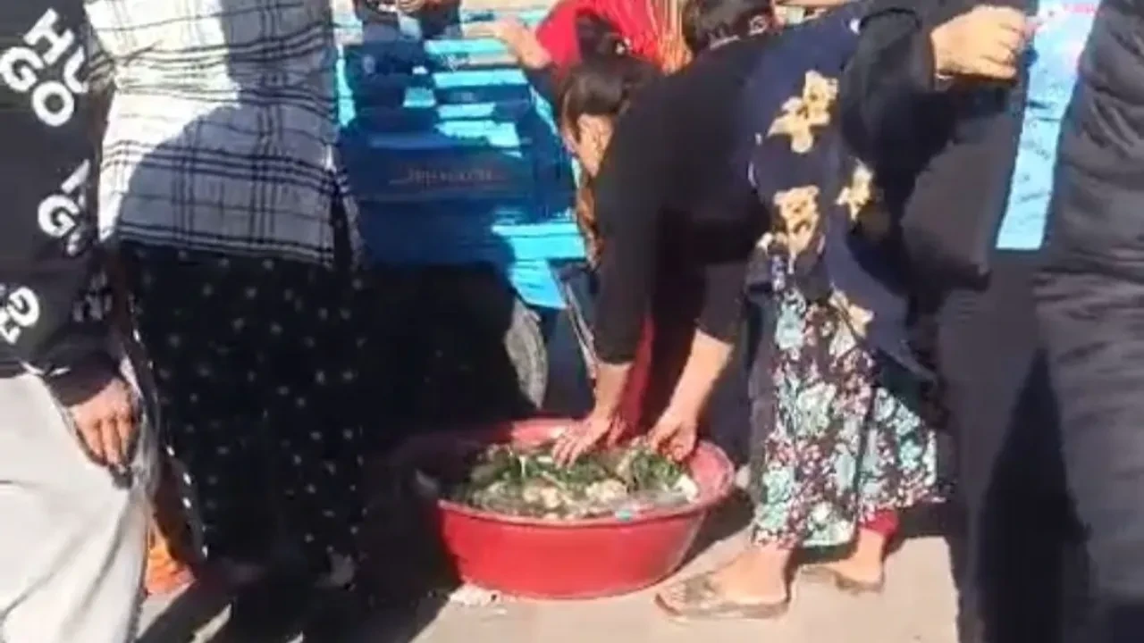 Cono aşiretine bağlı komşulardan adeta meydan savaşı: Şişeler ve taşlar havada uçtu