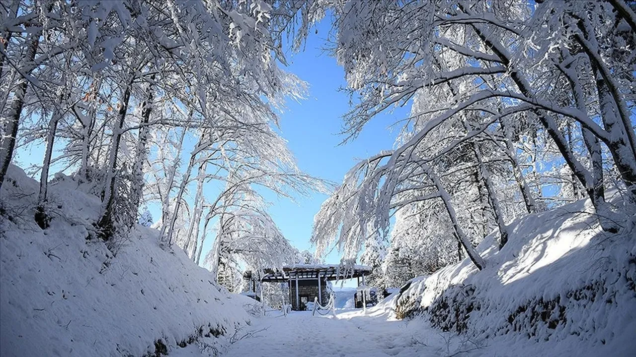 Eskişehir, Düzce, Sakarya, Kocaeli yarın okullar tatil mi, var mı? 29 Aralık son dakika