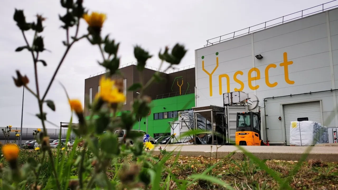 Tek hata dev yatırımı iflasa sürükledi: Ünlü yıldız destek vermişti