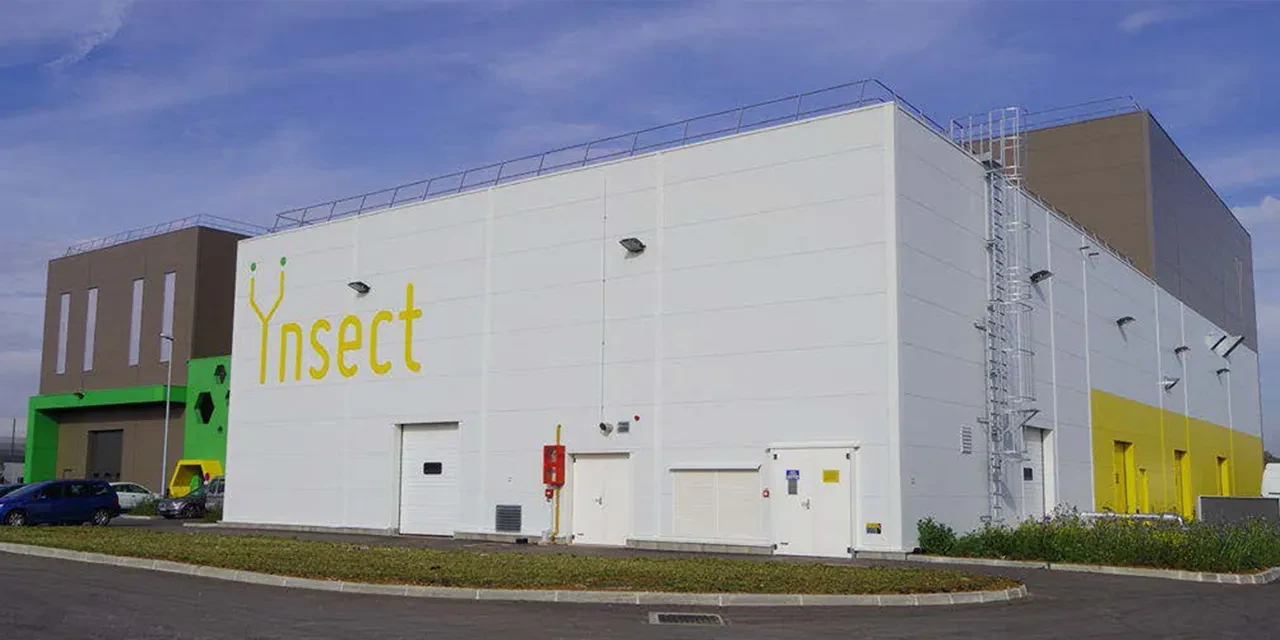 Tek hata dev yatırımı iflasa sürükledi: Ünlü yıldız destek vermişti