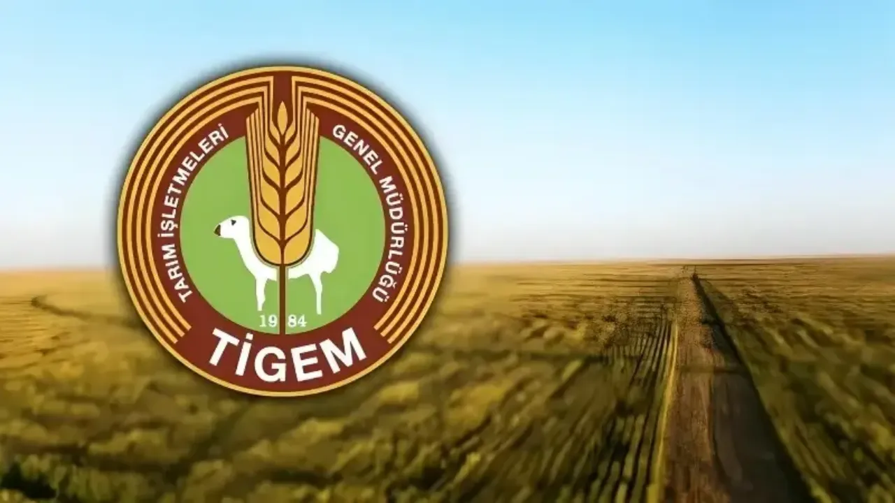 TİGEM 254 sürekli işçi alımı başvuruları ne zaman başladı mı?