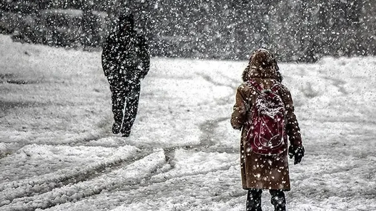 Eğitime kar molası! İşte okulların tatil edildiği illerimiz