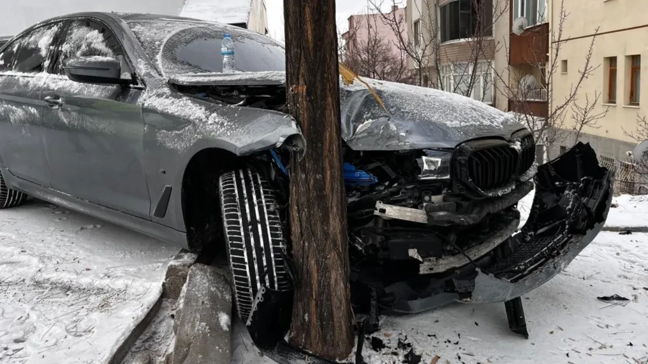 Facia ağaçtan döndü! Saniye saniye kaydedildi 