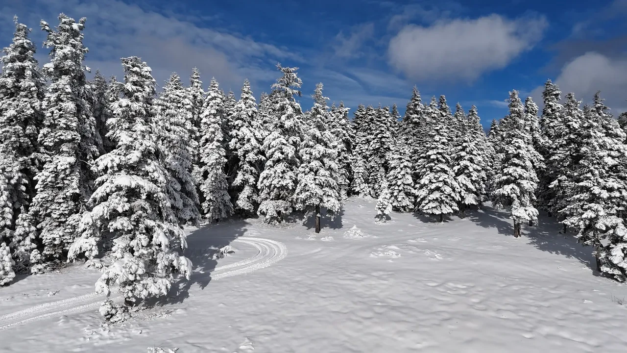 Sinop'ta okullar 30 Aralık Salı tatil mi? Valilik açıklaması geldi