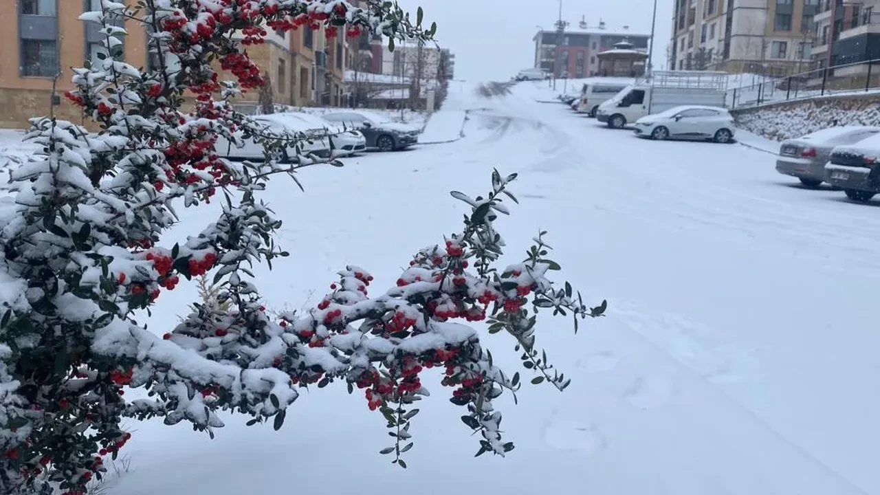 Elazığ beyaza büründü