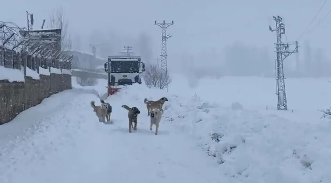 Şırnak'ta kar kalınlığı 2 metreyi buldu