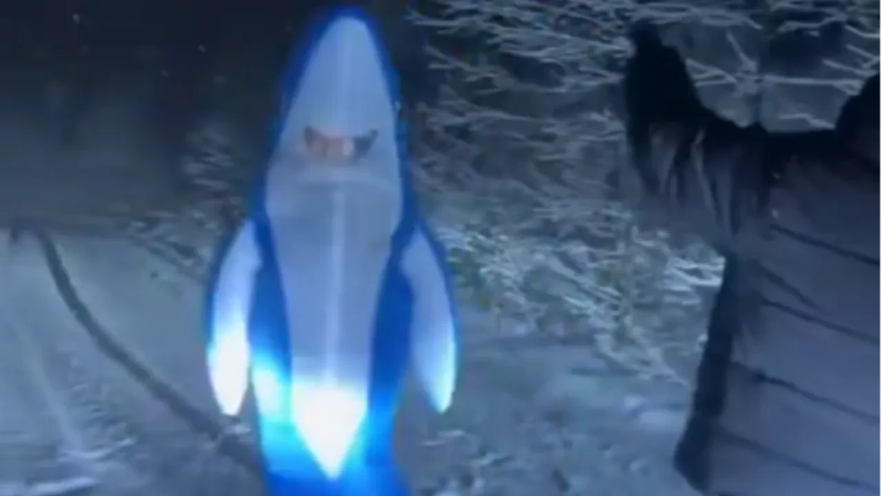 Yaylada dans eden köpek balığı gülümsetti! Eğlenceli anlar kamerada