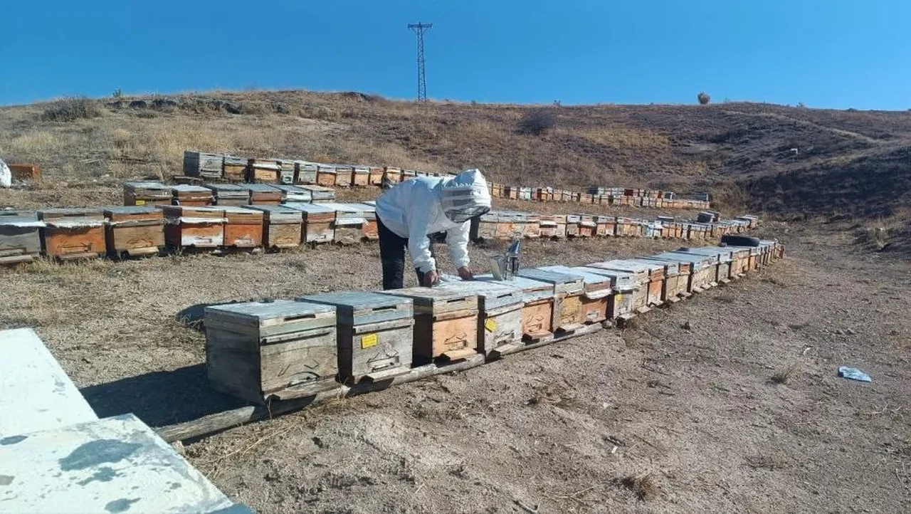 Bal üreticilerinden vatandaşlara 'sahte bal' uyarı! Şifa ararken zehir yemeyin!