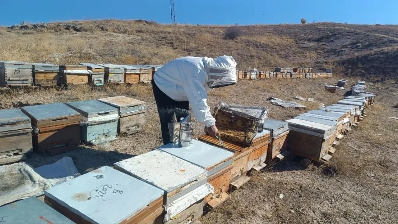 Bal üreticilerinden vatandaşlara 'sahte bal' uyarı! Şifa ararken zehir yemeyin!