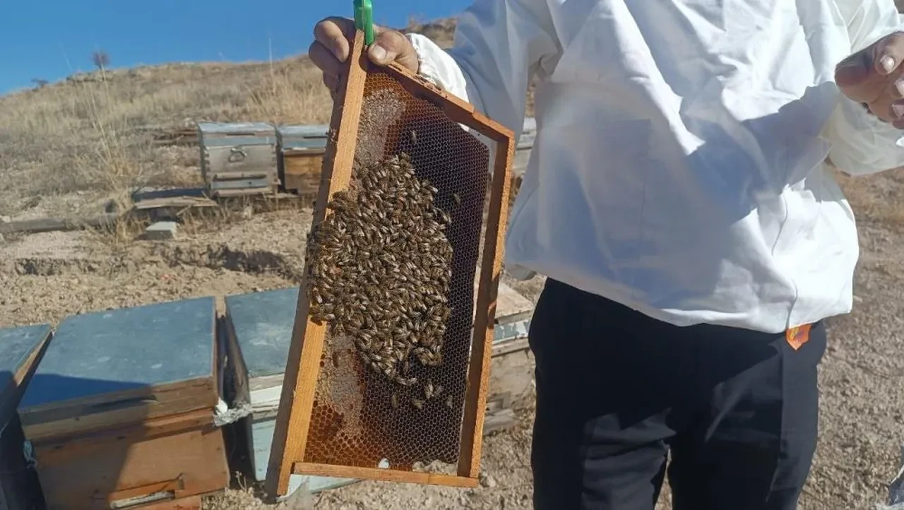 Bal üreticilerinden vatandaşlara 'sahte bal' uyarı! Şifa ararken zehir yemeyin!