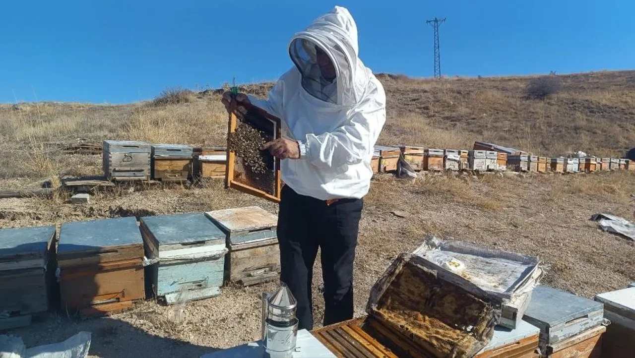 Bal üreticilerinden vatandaşlara 'sahte bal' uyarı! Şifa ararken zehir yemeyin!