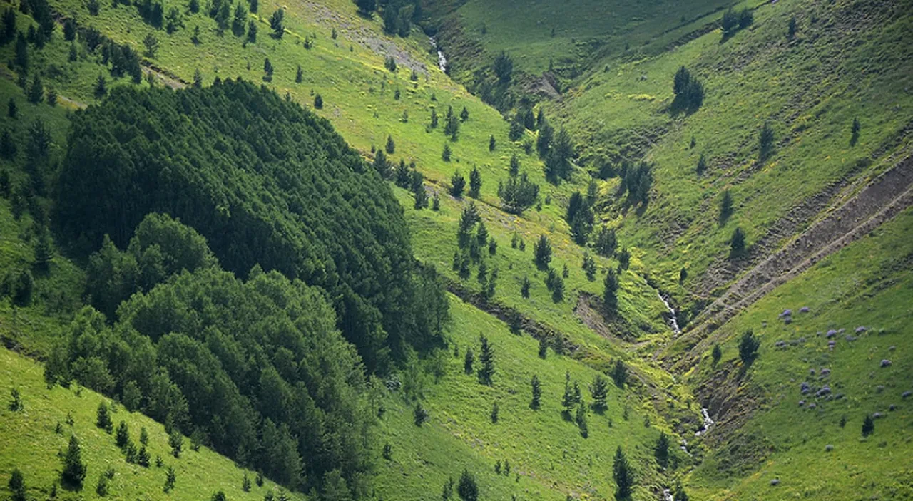Ne Karadeniz ne Ege! İşte Türkiye'nin en uzun yaşayan ilinin gizemi