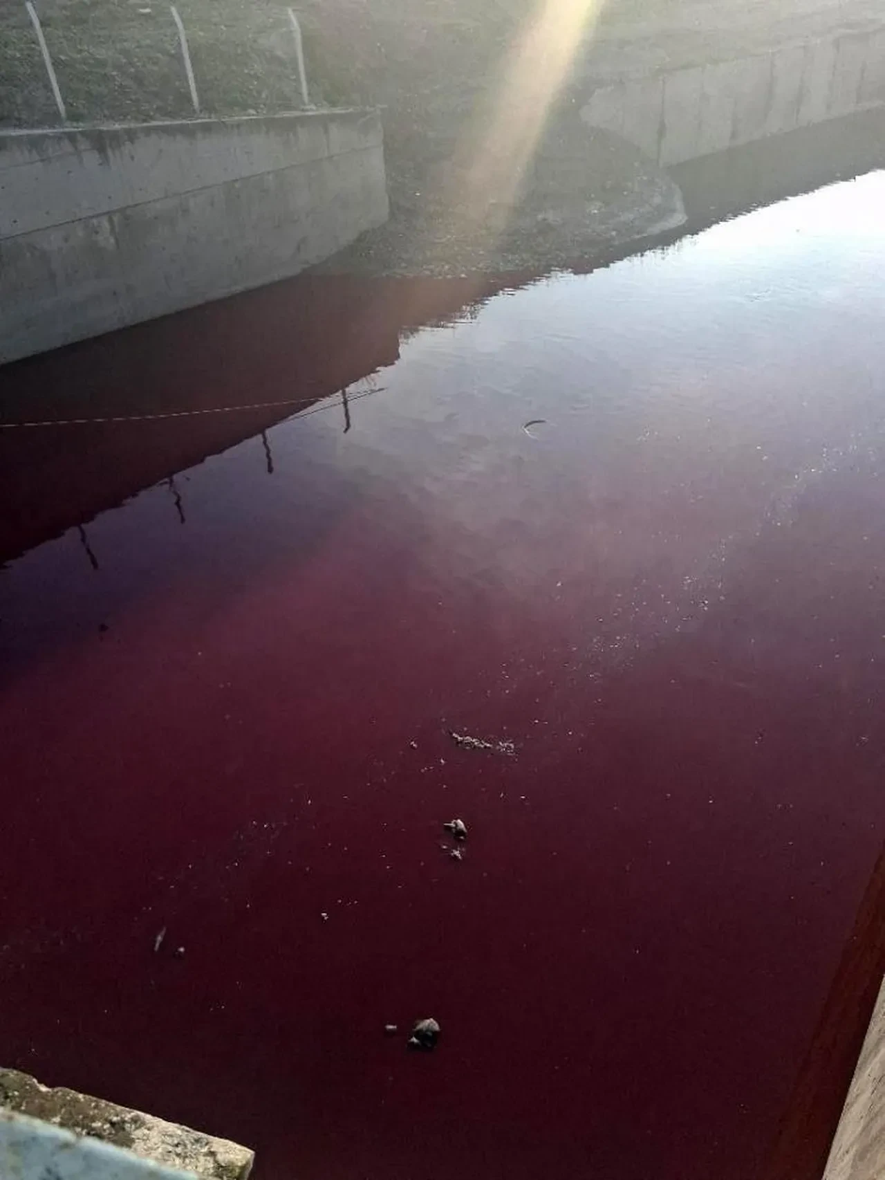 Sebebi bilinmiyor! Esenyurt'ta derenin rengi kan kırmızısı oldu!