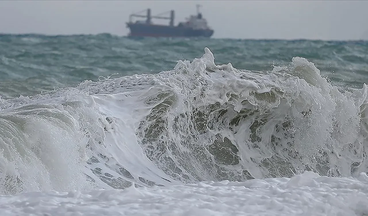 Tsunamilerin sırrına uzaydan bir bakış yetti! Bilinen tezi çürüttüler