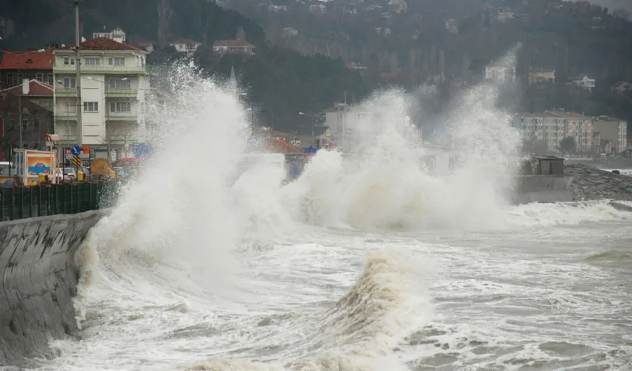 Tsunamilerin sırrına uzaydan bir bakış yetti! Bilinen tezi çürüttüler