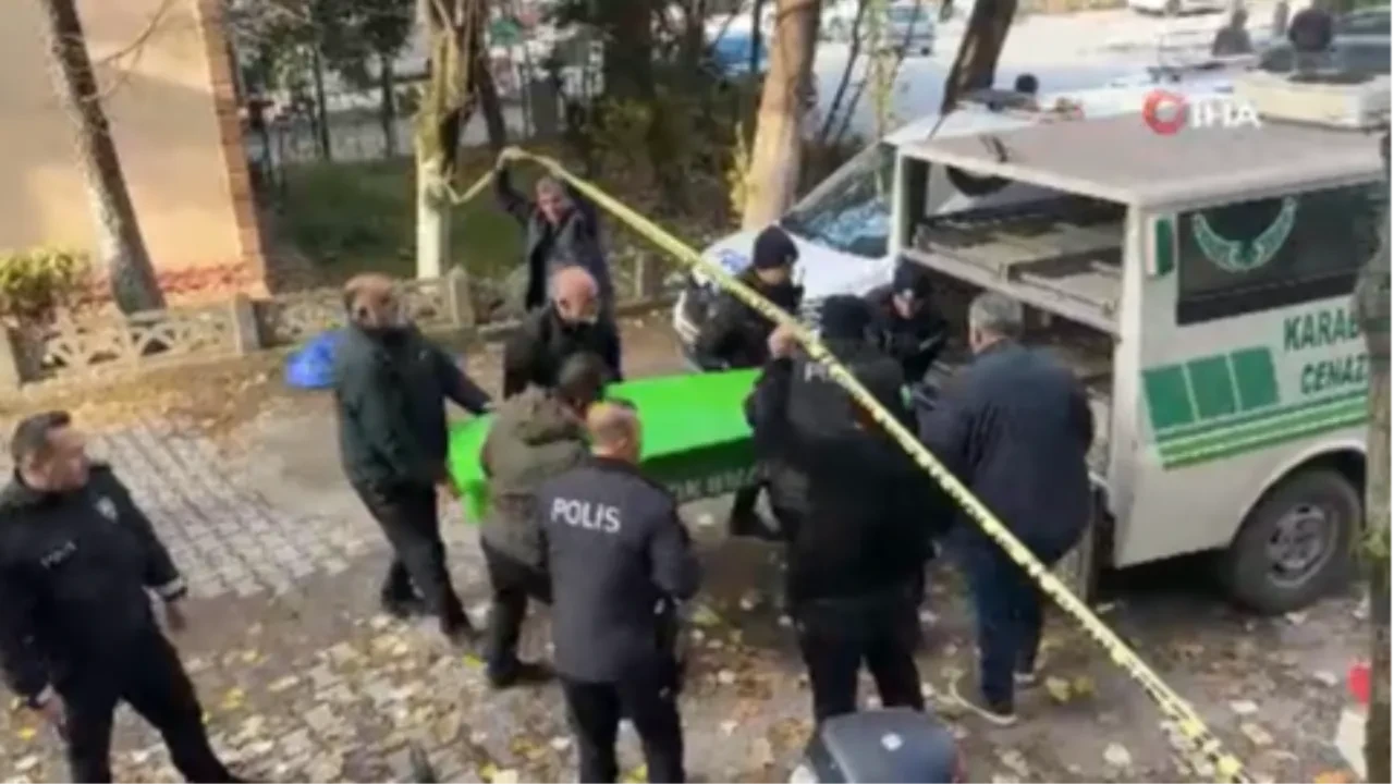 Karabük'te dehşete düşüren görüntü! Yol ortasında ölü bulundu