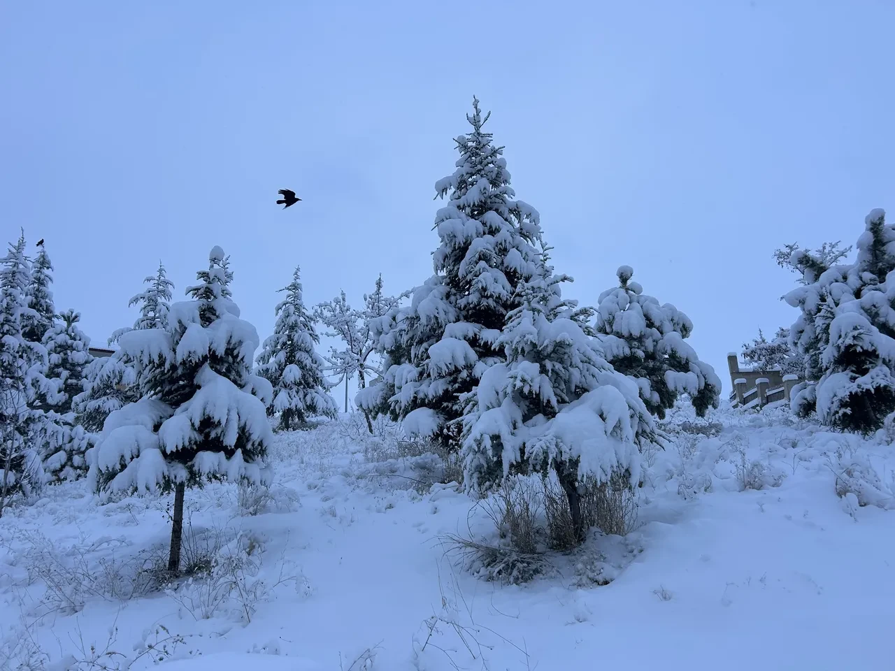 AKOM'dan İstanbul için yılbaşı uyarısı! Sıcaklıklar sıfırın altına düşecek, yağış etkili olacak 