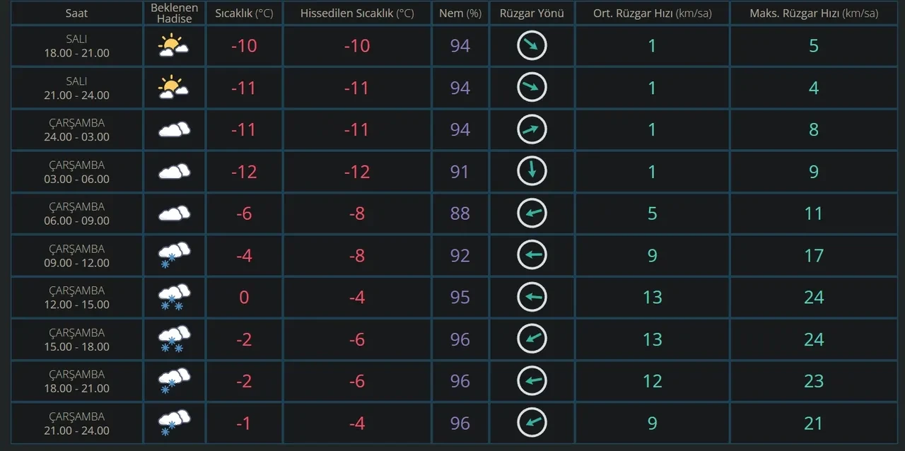 Diyarbakır yarın okullar tatil mi? 31 Aralık Diyarbakır Valiliği kar tatili açıklaması yaptı