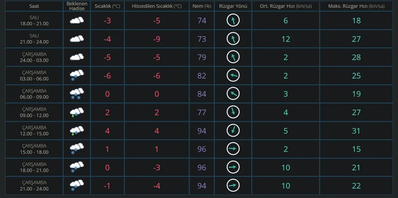 Kayseri okullar tatil mi? 31 Aralık Kayseri okulların kar tatil durumu!