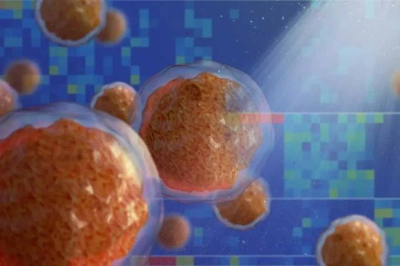 Lösemi teşhisinde yeni umut: Bağışıklık hücreleri kemik iliğine zarar verebilir