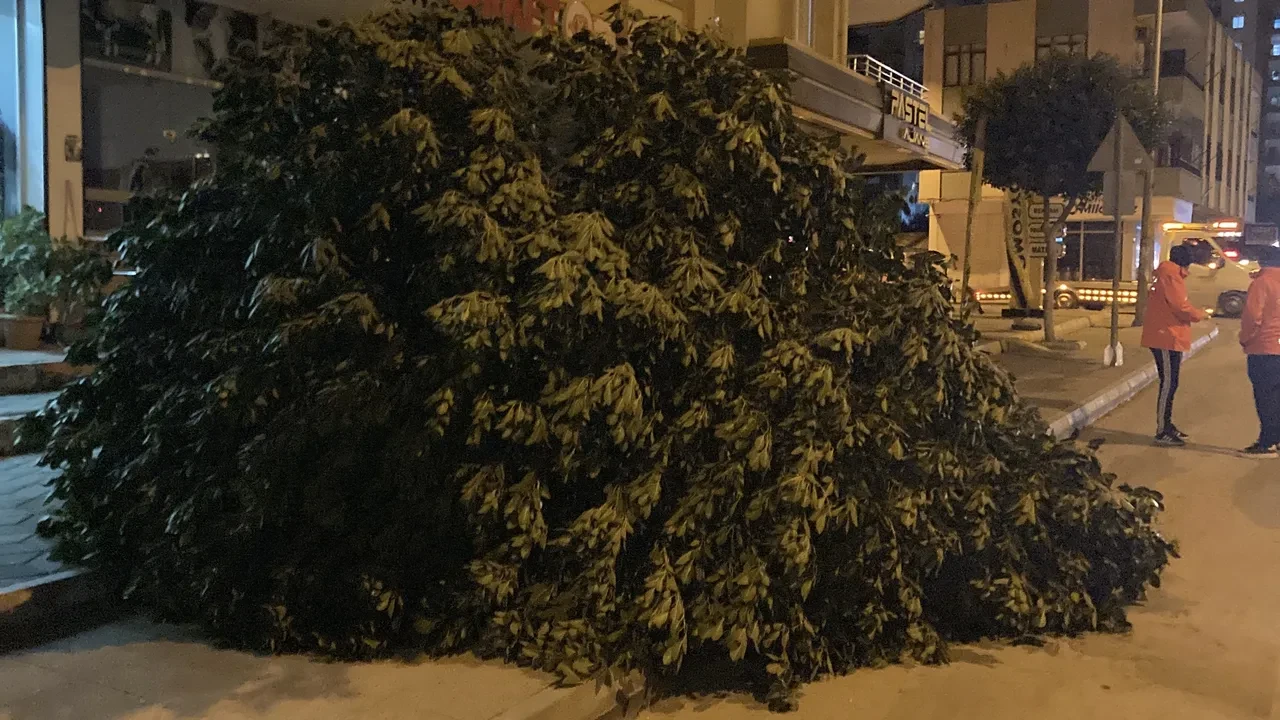 Mersin'de şiddetli rüzgar ortalığı savaş alanına çevirdi!