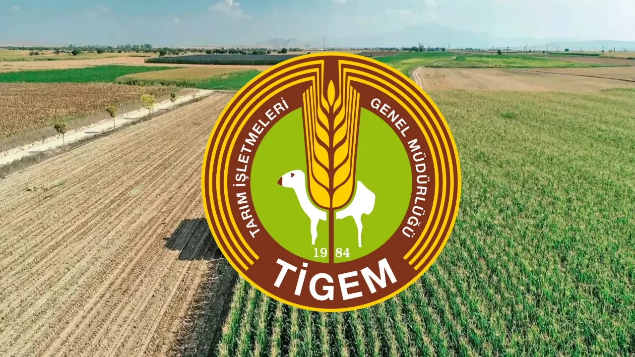 TİGEM personel alımı başvuruları! 9 farklı ilde TİGEM 254 sürekli işçi alımı yapacak