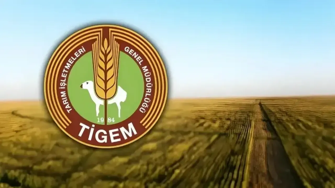 TİGEM personel alımı başvuruları! 9 farklı ilde TİGEM 254 sürekli işçi alımı yapacak