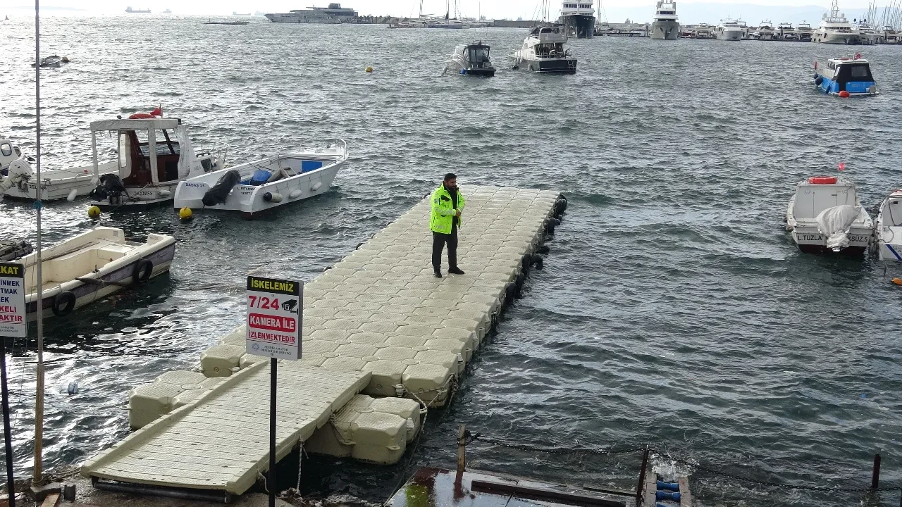 Vicdanları sızlatan olay kamerada! Kediye tekme atıp denize fırlattı