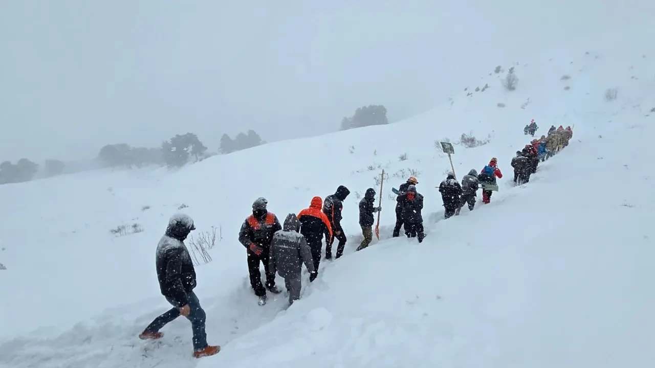 Artvin'de çığ düştü! 3 çobandan 1'inin cansız bedenine ulaşıldı