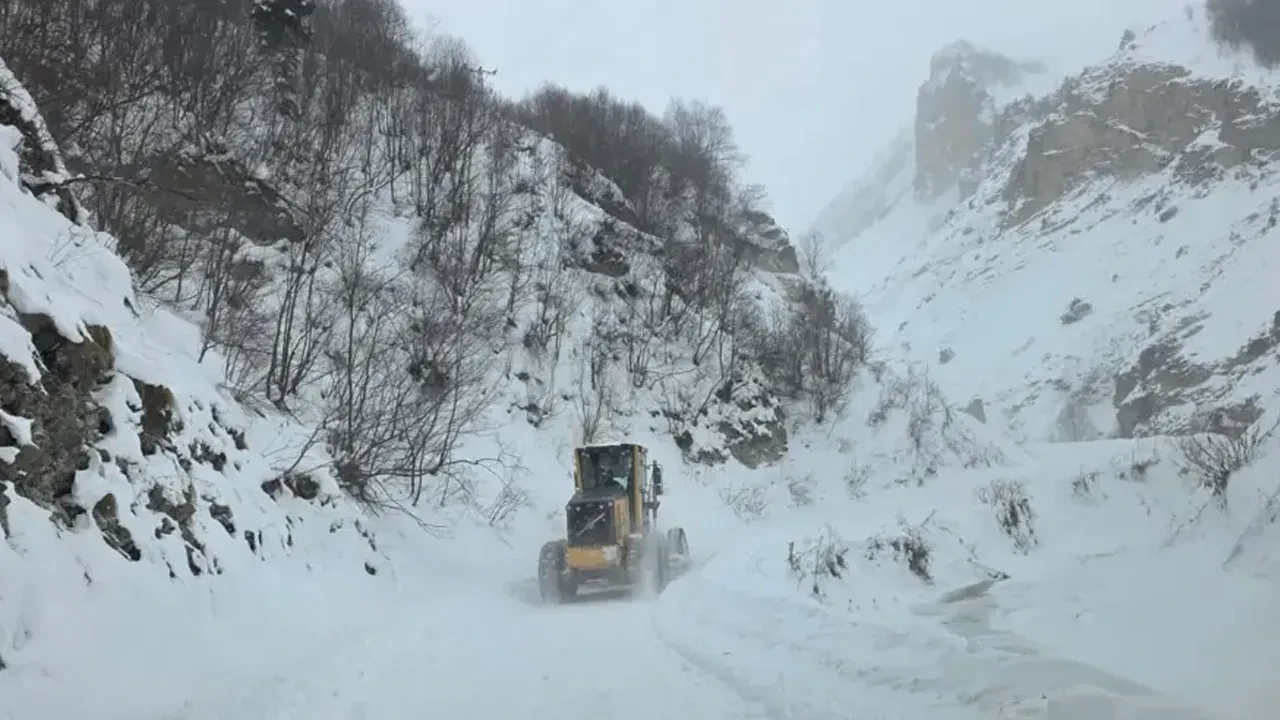 Artvin'de çığ felaketi! "Çobanlar altında kalmış olabilir"