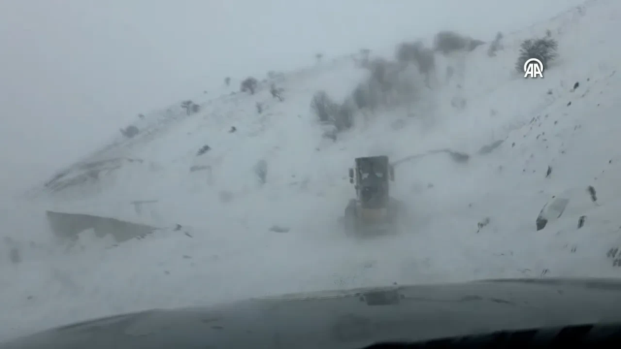 Artvin'de çığ felaketi! 3 çoban çığ altında kaldı: Ekipler seferber oldu 